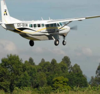 Gorilla flying safaris