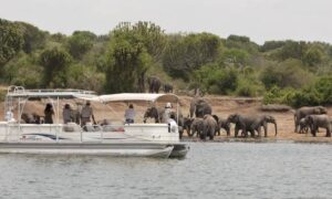 Queen Elizabeth National Park Honeymoon